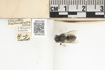 Media type: image;   Entomology 785755 Aspect: labels